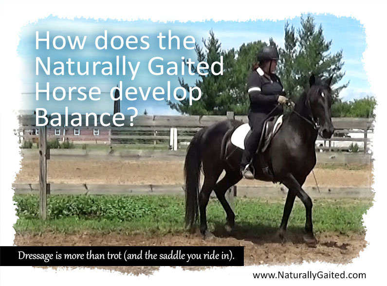 how-does-the-naturally-gaited-horse-develop-balance-naturally-gaited