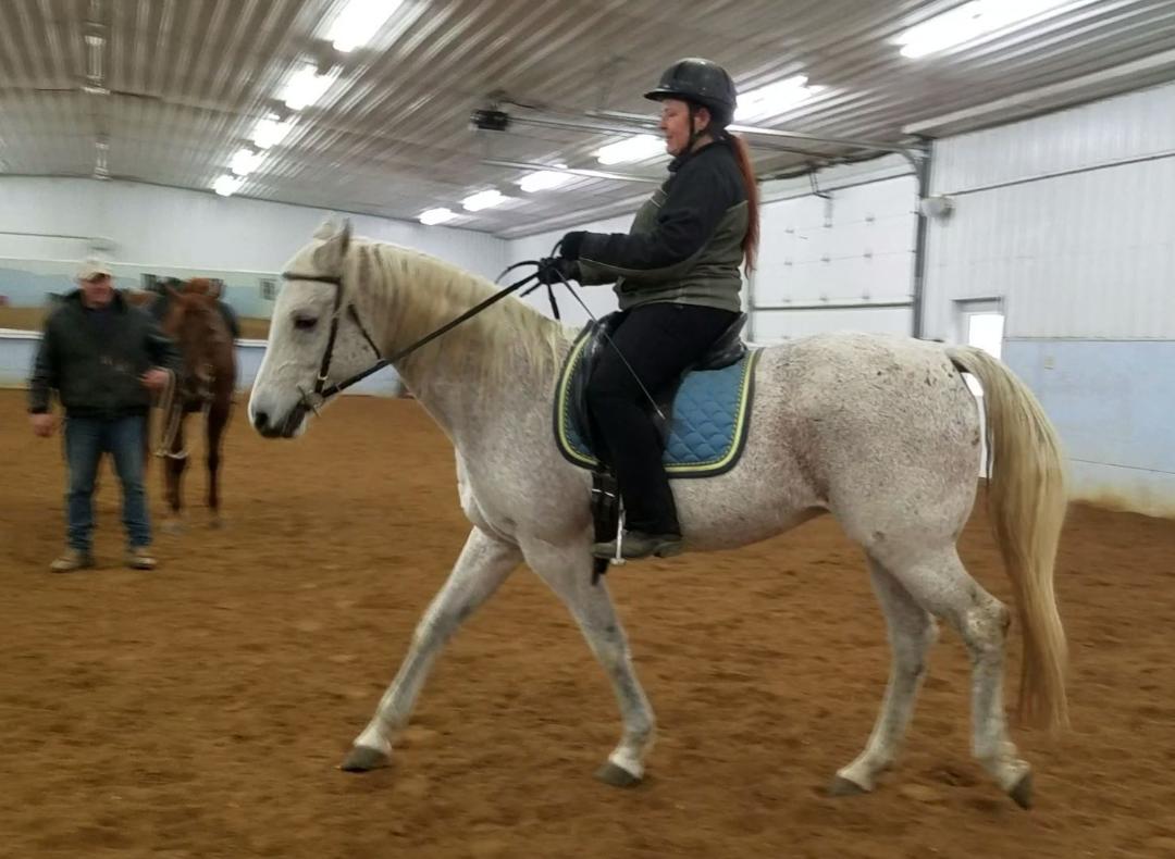 Rider Tension And Its Effect On The Gaited Horse | Naturally Gaited Horse