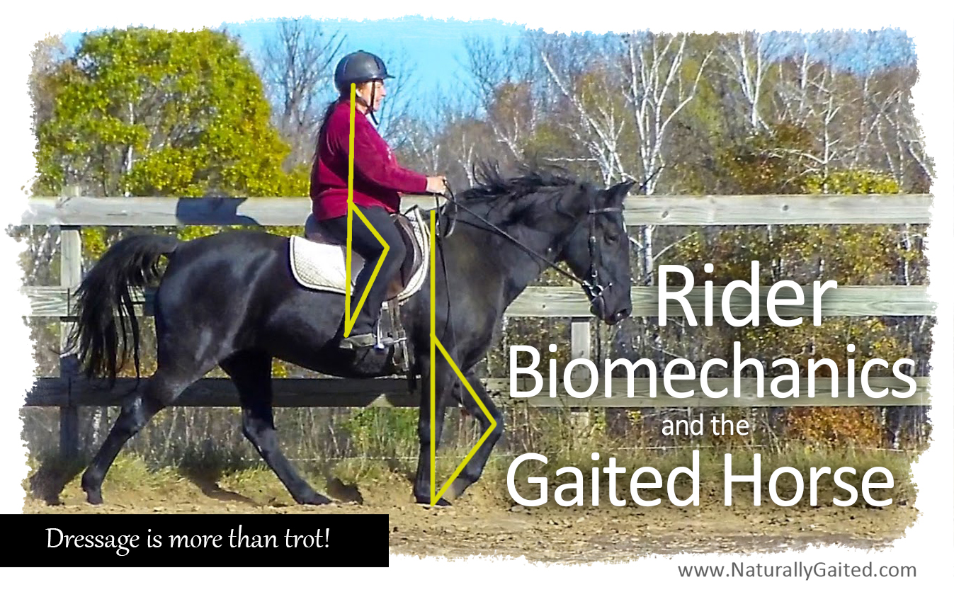 Rider Biomechanics & Gaited Horses | Naturally Gaited Horse