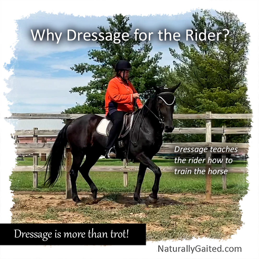 Why Dressage for the Rider | Naturally Gaited Horse