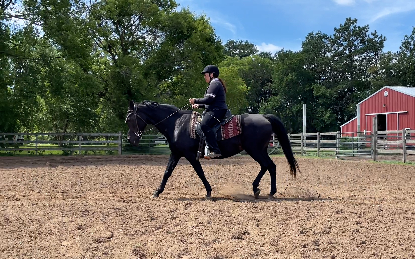 from hard trot to relaxed fox trot | Naturally Gaited Horse